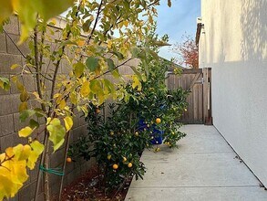 4600 Ocean Ln in Elk Grove, CA - Foto de edificio - Building Photo