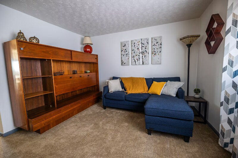 250 Trumbull Ave in Girard, OH - Building Photo