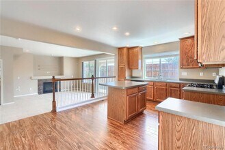 1696 Odyssey Ct in Castle Rock, CO - Building Photo - Building Photo