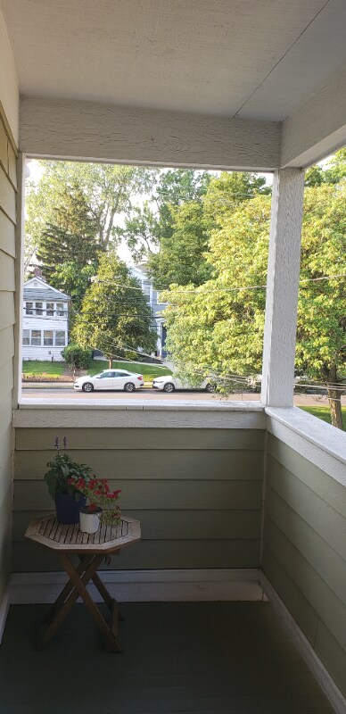 517 Park Ave, Unit 517 in Syracuse, NY - Foto de edificio - Building Photo