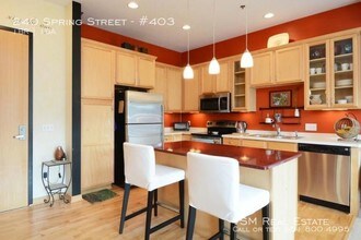 240 Spring St in St. Paul, MN - Building Photo - Building Photo