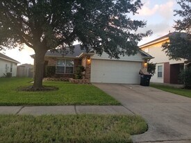 19464 Tahoka Springs Drive in Katy, TX - Building Photo