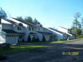 Taras Trl in Liberty, NY - Building Photo