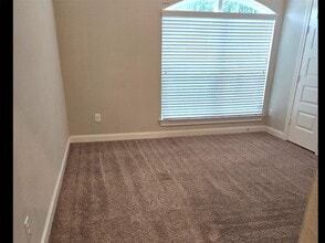 907 Daffodil View Ct in Richmond, TX - Building Photo - Building Photo