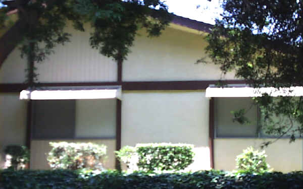 979 Springfield St in Upland, CA - Foto de edificio - Building Photo