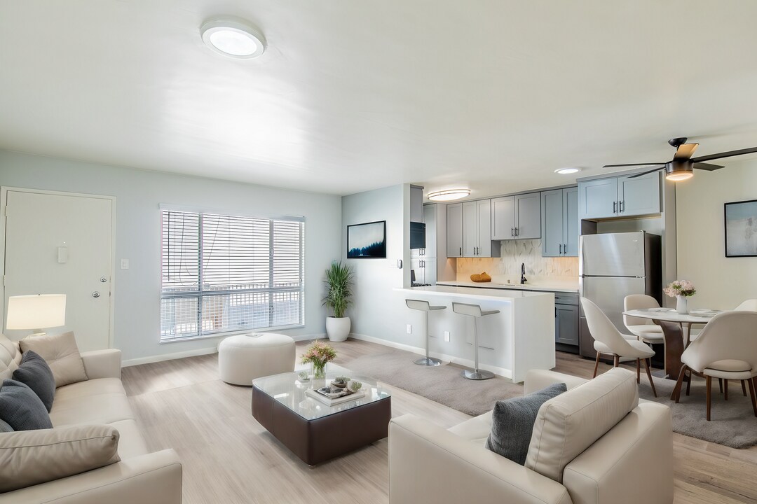 Euclid Street Apartments in Santa Monica, CA - Building Photo