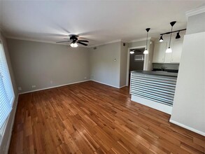 219 Marshall St in Houston, TX - Building Photo - Building Photo