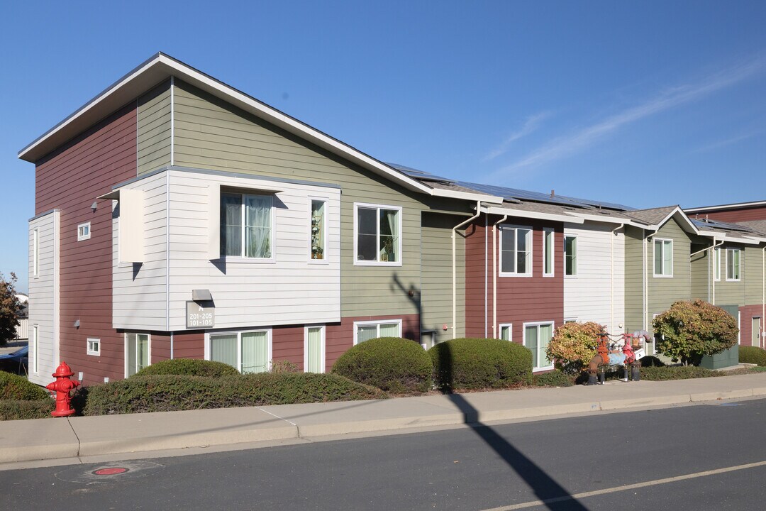 Trailside Terrace in Shingle Springs, CA - Building Photo