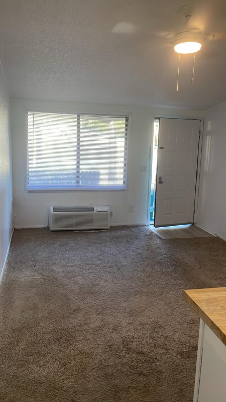 33305 Ryan Dr in Leesburg, FL - Foto de edificio - Building Photo