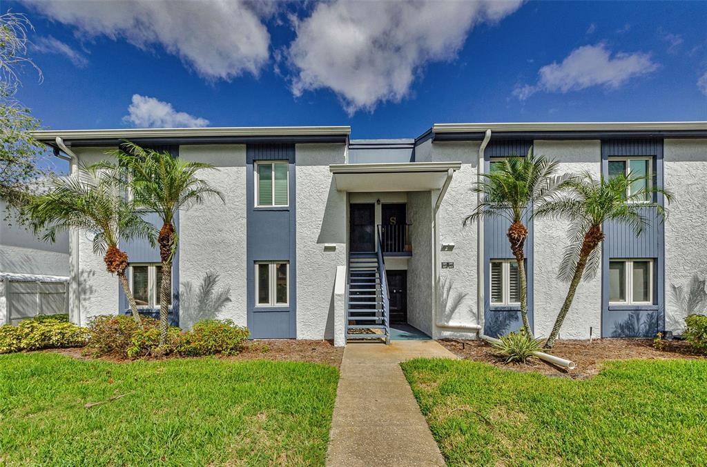 146 Cypress Ln in Oldsmar, FL - Building Photo