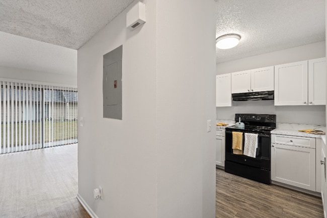 2560 W Bird St in Tampa, FL - Building Photo - Building Photo