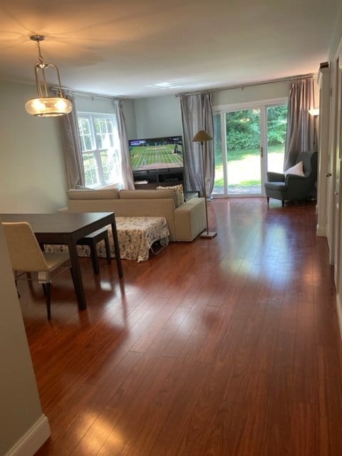 property at 36 Magnolia Ct