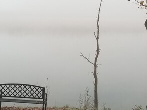 29 Crescent Ter in Cohoes, NY - Building Photo - Building Photo