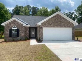 3244 Spiral Ln in Effingham, SC - Building Photo