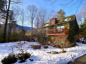 295 Grog Kill Rd in Willow, NY - Building Photo