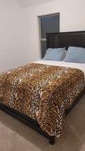 24811 Lobelia Gdn Ln in Katy, TX - Building Photo - Building Photo