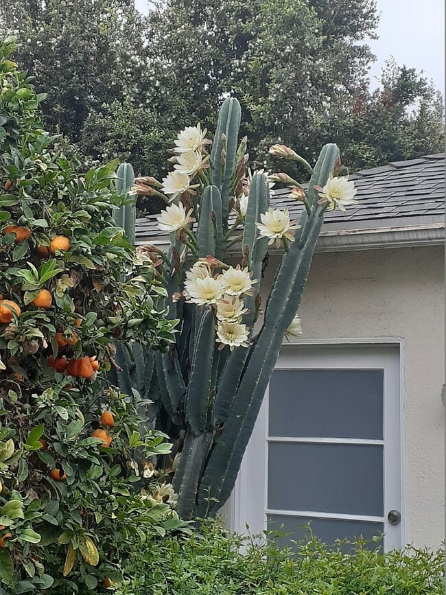 property at 2219 Glendon Ave