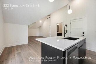 322 Fountain St NE in Grand Rapids, MI - Building Photo - Building Photo