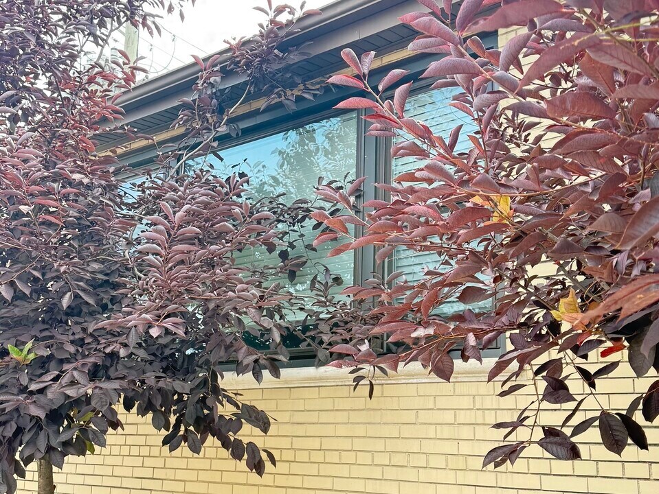 4201 W 55th St in Chicago, IL - Building Photo