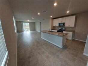 34609 Telluride Ln in Zephyrhills, FL - Building Photo - Building Photo