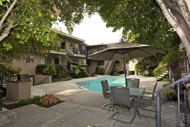 The Terrace Apartments in San Jose, CA - Building Photo - Building Photo