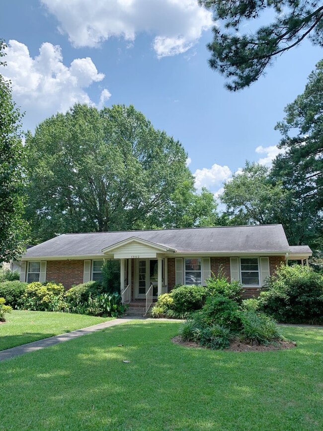 1902 E 6th St in Greenville, NC - Building Photo - Building Photo