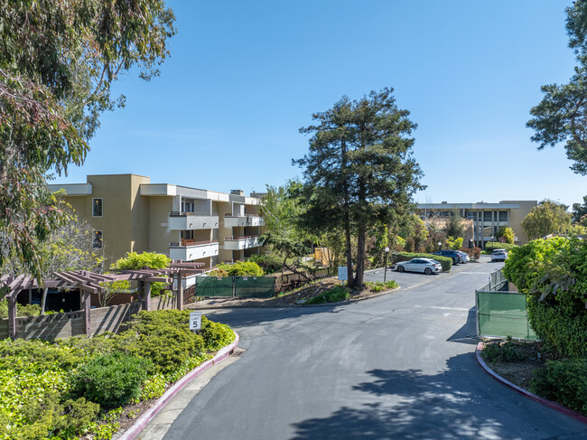 10 Scenic Way in San Mateo, CA - Foto de edificio - Building Photo