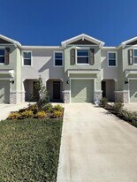 11374 Velvet Apricot Dr in Land O Lakes, FL - Building Photo