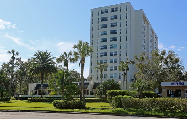 Serenity Towers on the St. Johns