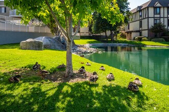 Versailles on the Lake Apartments in Santa Ana, CA - Foto de edificio - Building Photo