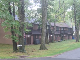 429 Irma Ave in Kent, OH - Building Photo