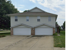 100-102 Eagle Ridge Dr in Chatham, IL - Building Photo