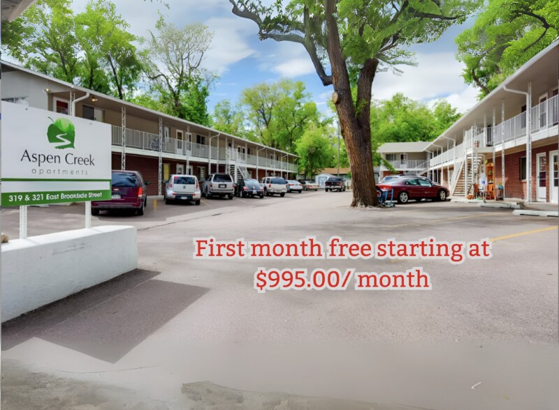 319-321 E Brookside St in Colorado Springs, CO - Building Photo