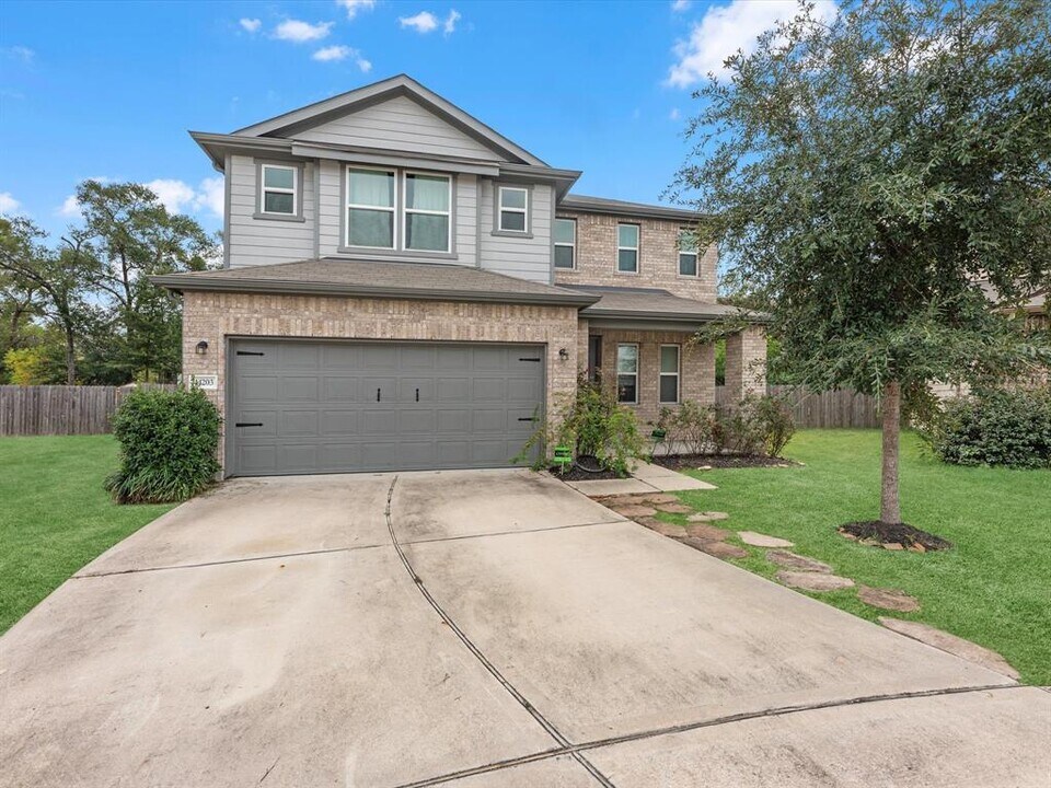 14203 Broad Cypress Ct in Houston, TX - Building Photo