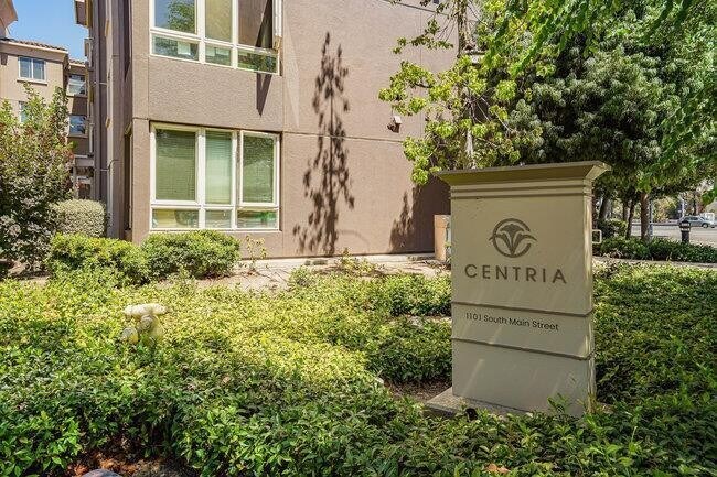 1101 S Main St, Unit 408 in Milpitas, CA - Building Photo - Building Photo