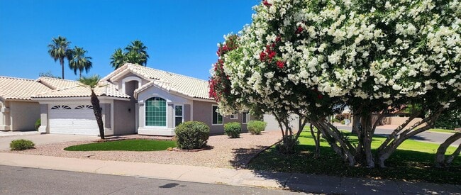 1382 E Butler Cir in Chandler, AZ - Building Photo - Building Photo