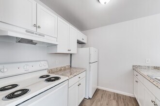 Aspen Flatz in Lansing, MI - Foto de edificio - Interior Photo