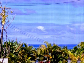 134 Kapiolani St in Hilo, HI - Building Photo