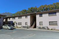 Park South Condominium in Pinellas Park, FL - Foto de edificio - Building Photo