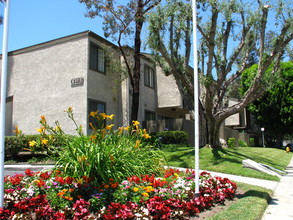 Spring Tree Apartments in Chino, CA - Foto de edificio - Building Photo