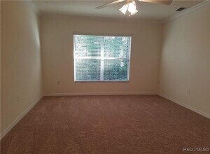 12 Bellis Ct in Homosassa, FL - Building Photo - Building Photo