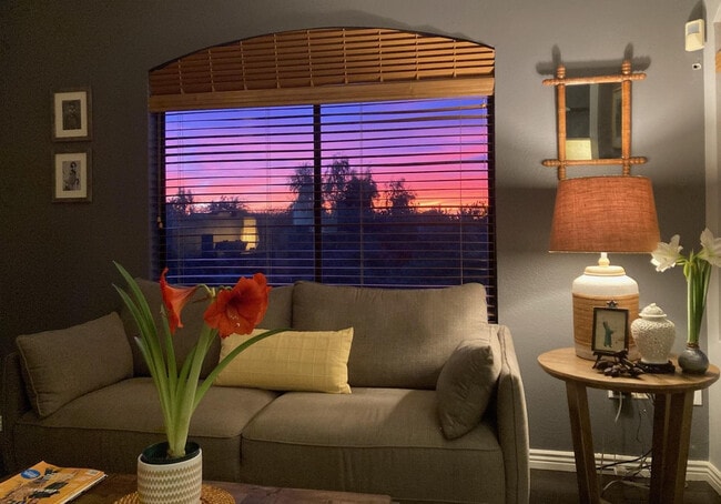 property at 15095 N Thompson Peak Pkwy