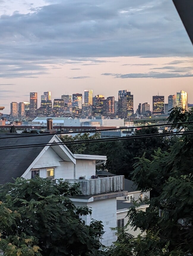 281 Washington Ave, Unit 3