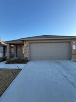 6007 Diamond Vis Ct in Spring, TX - Building Photo