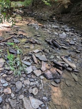 5648 NY-53 in Naples, NY - Foto de edificio - Building Photo