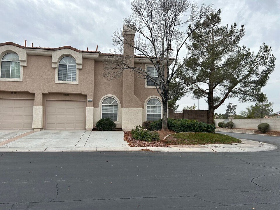 10103 Tumbling Tree St in Las Vegas, NV - Building Photo
