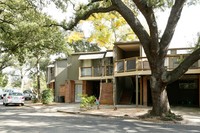 Vassar Place Apartments in Houston, TX - Building Photo - Building Photo