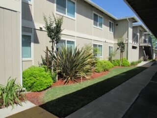 Tanglewood Apartments in Lemoore, CA - Building Photo - Building Photo