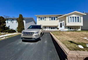 46 Birmingham St in St John's, NL - Building Photo