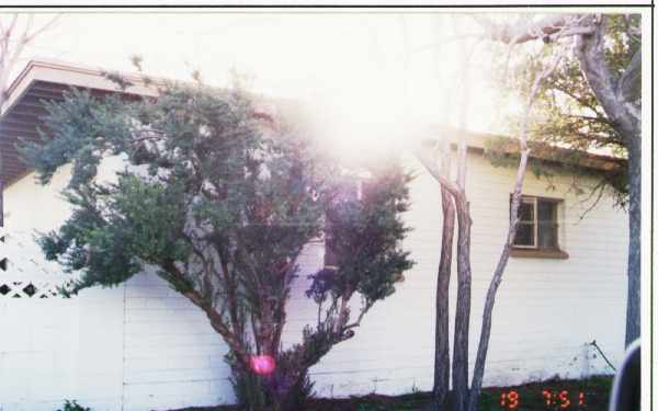 4335 N 15th Ave in Phoenix, AZ - Building Photo